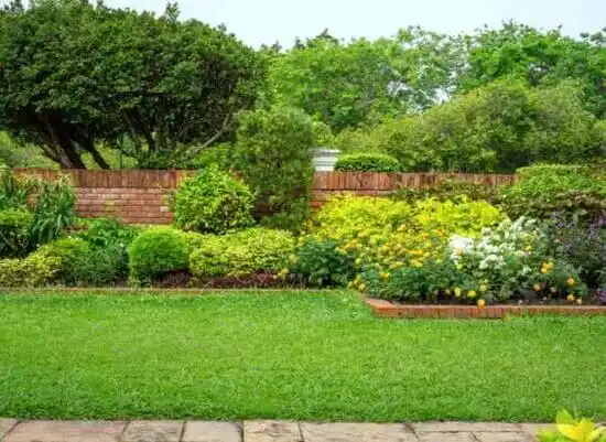 landscaping services Creedmoor